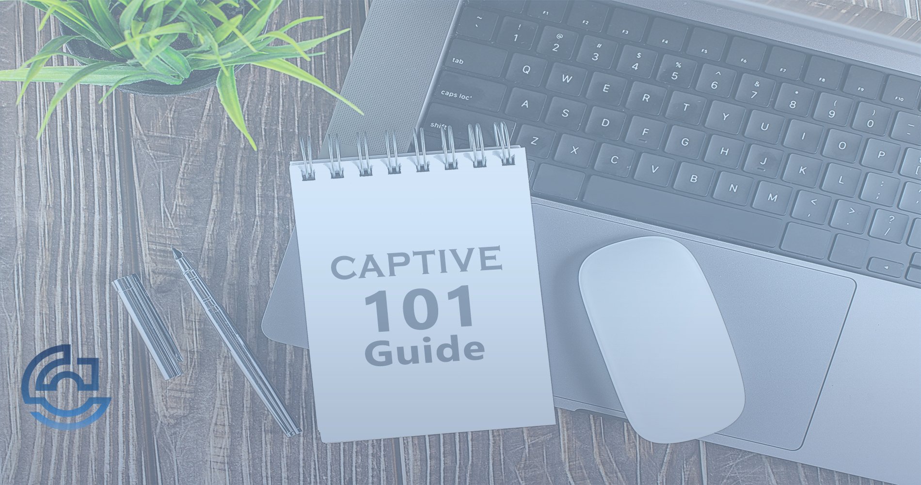 Captive 101 Guide Hero Image