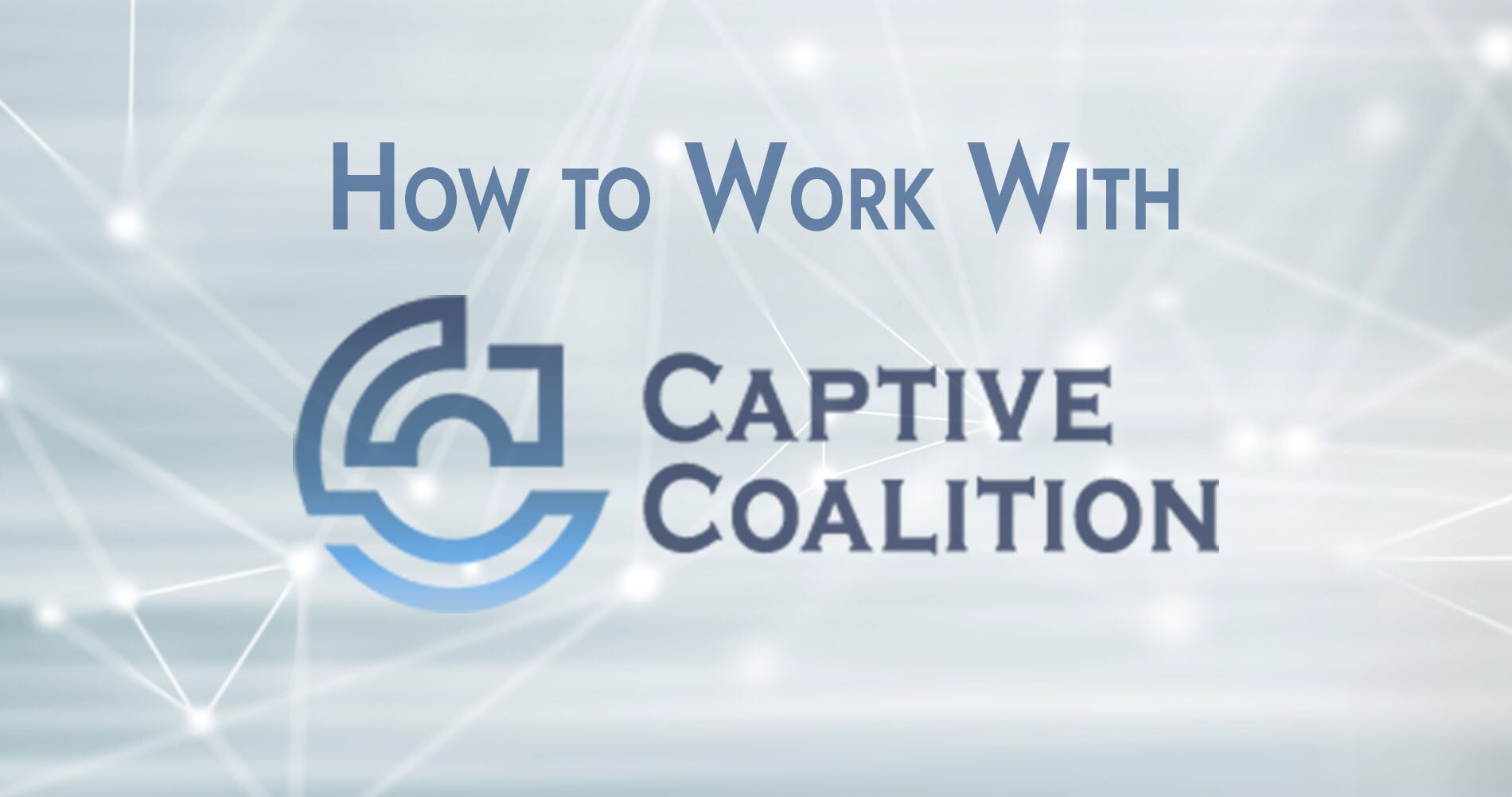 How to work with captive coalition as independent agent hero image